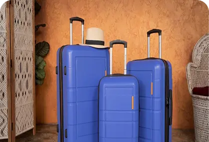 Luggage